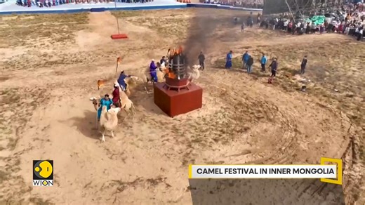 Mongolia holds a camel festival. Three-day event features camel racing and other games. Eric Njoka has more. | WION