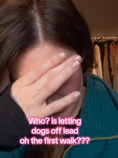 Essential Dog Walking Safety Tips for First Walks