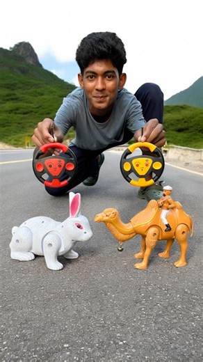 Rc Remote Wala Camel And Khargosh Dise 😍