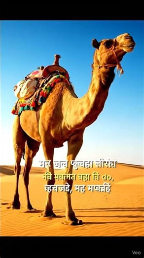 Onth Chala poem #poem #cartoon #kavita