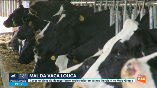 Casos atípicos da doença vaca louca são registrados em Minas Gerais e no Mato Grosso