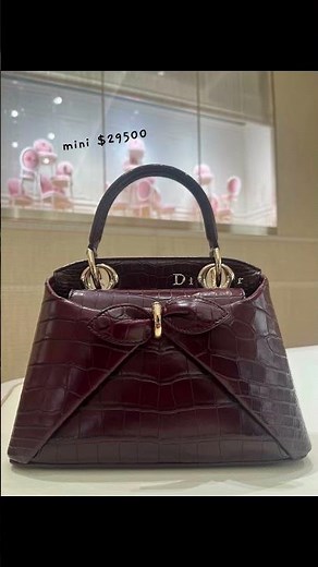Dior Cigale bag | the newest size MINI is now available (2026)