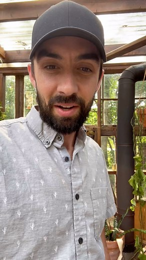 Mo Pitney on Instagram: "💥🪕NEW MUSIC🪕💥 @pitneymeyer THIS FRIDAY ❗️ #thatsoundslonesome #bluegrass"