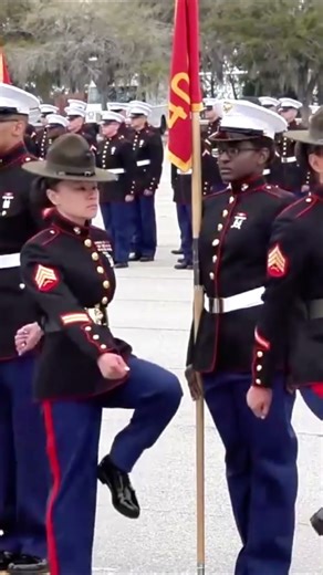Graduation Day Highlights . #usmc #marines #marinecorps #usmarines #shorts #bootcamp #army