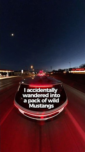 Durango Hellcat accidentally wanders into a pack of Mustangs