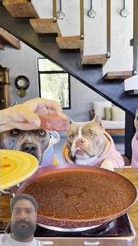 Cute Dog Enjoying His Meal 🐶🍖 | Happy Dog Eating Food#Dog #CuteDog #DogEating #DogVideo #DogLover