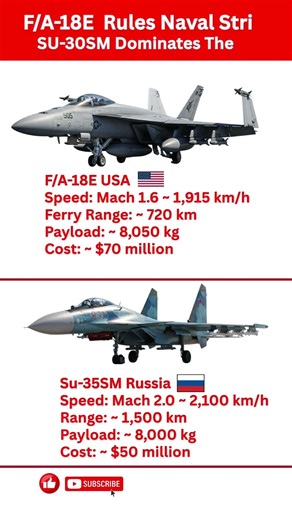 F/A-18E vs Su-30SM | Naval Strike vs Air Dominance Explained #militaryaviation #carrieraviation