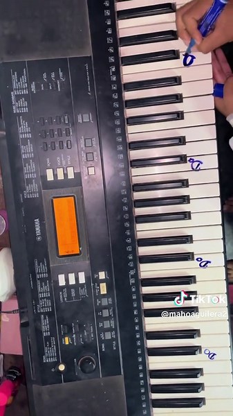Aprende A Tocar Teclado Desde Cero Con Mahoo 🤗🙌🏻#teclado #piano #principiante #tutoriales #Musica #teclado #piano #tutorial #motivation #tutoriales #principiante #teclado #bendiciones🌹❤️🙌🏻🙌🏻🙏 #paratiiiiiiiiiiiiiiiiiiiiiiiiiiiiiii