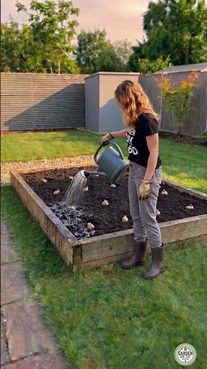 Build the Perfect Potato Planting Bed 🥔 | Easy Backyard Garden #PotatoPlanting