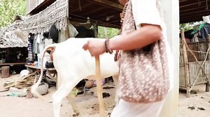 82K views · 538 reactions | Bacchus Cambodia Drive Your Energy Drink Do More with More Energy | Bacchus Cambodia | Facebook