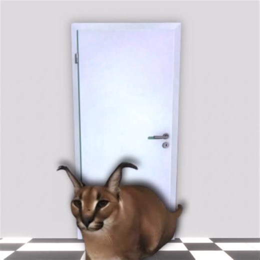 floppa on Instagram: "How does that even happen dawg . . . . . . . . . . . . . #fypシ #meme #gameawards #brainrot #floppa #discover"