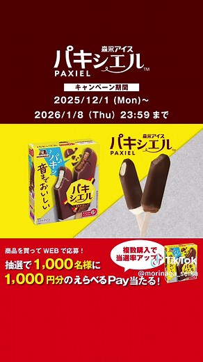 パキシエル：超厚チョコの新感覚アイス