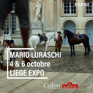 435K views · 7.4K reactions | Rencontre avec Mario Luraschi et ses chevaux de cinéma qui seront les 4 et 6 octobre en Belgique pour un spectacle grandiose. Jumping de Liège – Page officielle Kevin Bacon's Cofim Equestrian Real Estate - Immobilier Equestre @marioluraschifascination Mario Luraschi Cavalcade | Equideo | Facebook
