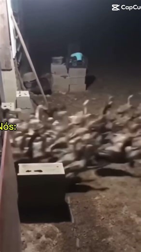 Era pra ficar nada a ver