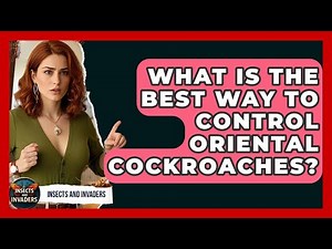 What Is The Best Way To Control Oriental Cockroaches? - Insects and Invaders