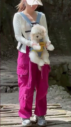 Best Dog Carrier for Hiking Adventures Your Pup Will Love #PetLovers #DogAccessories