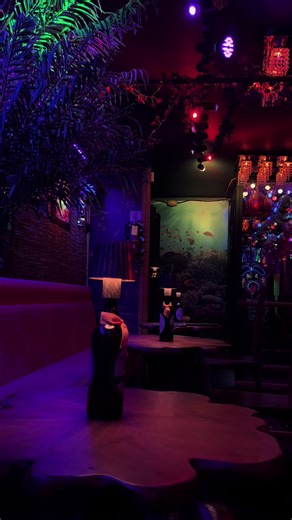 Forbidden Cove in Clairemont was such an incredible experience. They spare no detail to completely immerse you in this tropical paradise. The speakeasy was also so hidden we needed a “key” to get in. The drinks, ambience, and music made this such a fun night. Check it out for your next date night or hang out with friends. #fyp #speakeasy #thingstodo #sandiegohiddengems #tikibar
