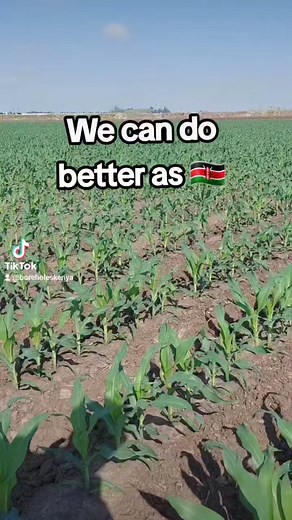 226K views · 1.6K reactions | Borehole Flow www.boreholeflow.com | Bonvic Drilling Company | Facebook