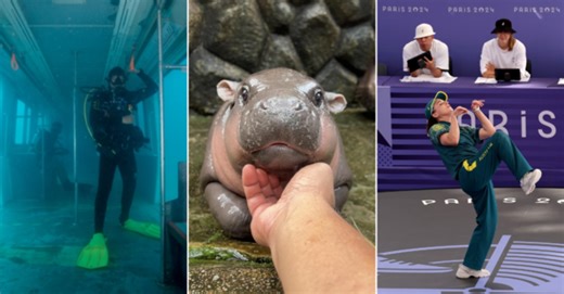 12 Awesome & Viral Happenings Of 2024 To Look Back On As The Year Comes To An End