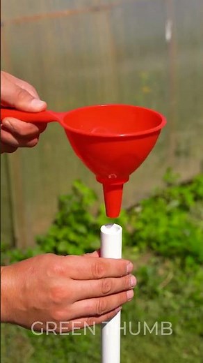 Eco-Friendly Gardening for a Greener Planet!