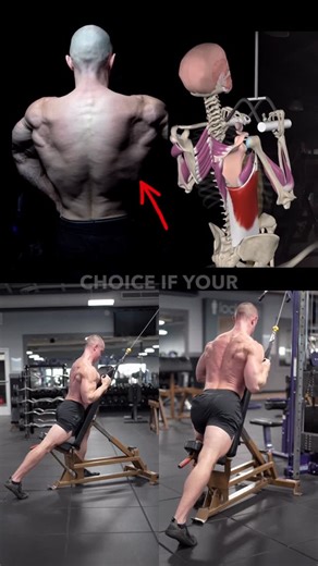 Alex Lueth | #1 Natural Online Coach | Grow your lats! 🦾 Bench supported unilateral cable pulldown - Target: Latissimus dorsi (lats) in the sagittal plane. - Also works:... | Instagram