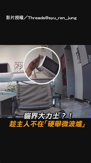 udn.com 聯合新聞網 on Instagram: "別懷疑，是貓界奧運舉重金牌得主 【貓界大力士？！趁主人不在「硬舉微波爐」】 影片授權／Threads syu_ren_jung"