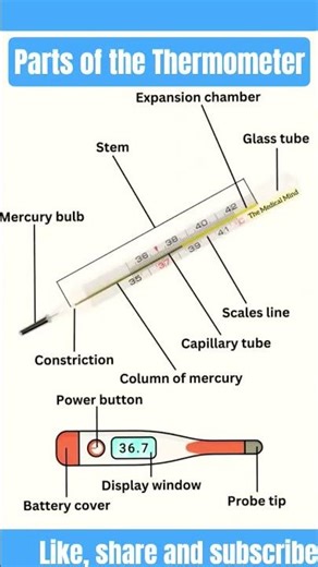 parts of thermometer in detail