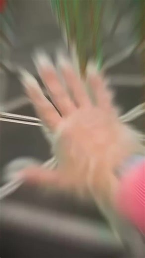 mouse wireless (@mouse.wireless5)’s videos with original sound - mouse wireless