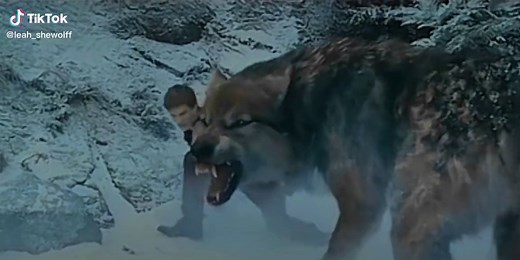 Seth Clearwater Twilight Wolf Edit