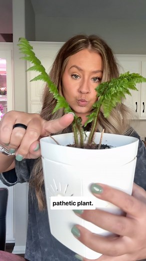 2K views · 81 reactions | when I saw @mulhalls restocked these...