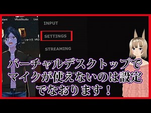 クエストでバーチャルデスクトップをしていてマイクが使えない？それは設定方法でなおります！快適なVRChat生活、NeosVRライフのために知っておくとよいVDの設定方法
