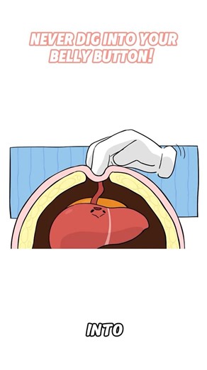 NEVER Dig into Your Belly Button! 🛑 #bellybutton #liver #science