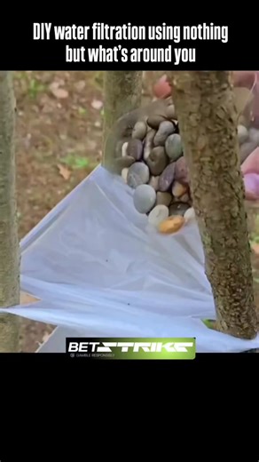 SnapFactAttack on Instagram: "This multi-stage gravity water filter uses a wooden tripod and plastic bags, each filled with natural materials to clean dirty water. The top layer holds stones and sand to trap leaves, sediment, and large debris. The middle layer uses pine needles and dry grass as another barrier, catching smaller particles. At the bottom, charcoal and cotton absorb odors, chemicals, and fine impurities. Small holes let water drip slowly into a cup below. The result looks clearer b