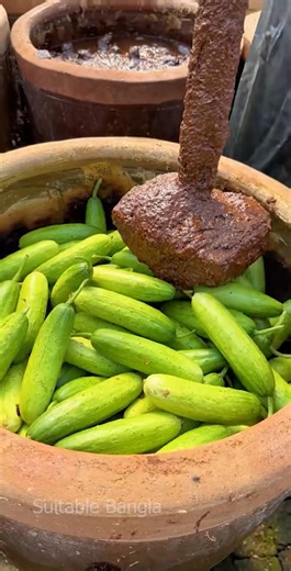 রেফ্রিজারেটর ছাড়া শসা মাসের পর মাস কীভাবে টিকে থাকে | Food Preservation