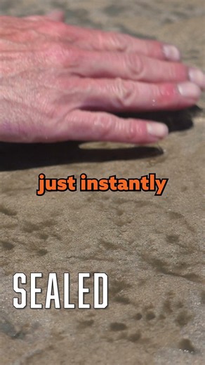 Seal Your Concrete So Nothing Gets In
