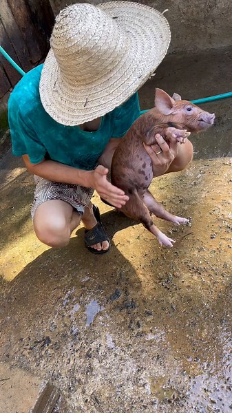 Exploring the Pinoy Farm Life in the Philippines