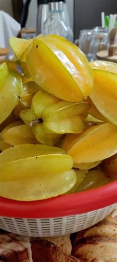 Organic Starfruits 😇 #happy #feelings #garden