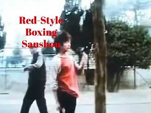 Huang Baoshan (黄寶珊 1910-1998)-Red-Style Boxing (紅拳) sanshou training