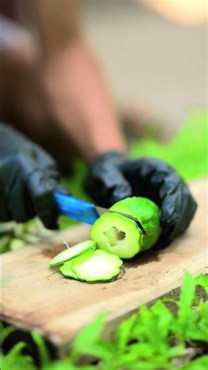 Paper Blade Cuts Baby Papaya Perfectly – Relaxing ASMR #shorts