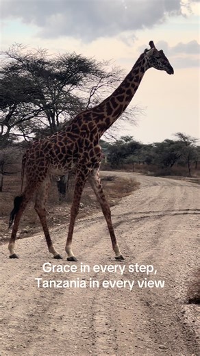 Charles Tours (@charles.tours)’s videos with Happy Epic Violins - Carlos Estella