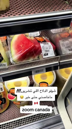 Exploring Life in Montreal, Canada: A Deep Dive