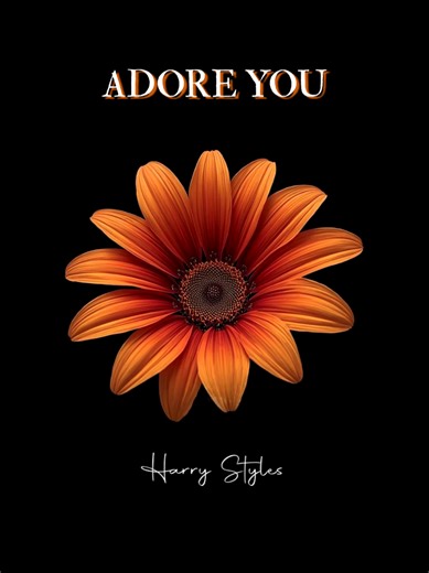 Adore You - Song Lyrics Overview