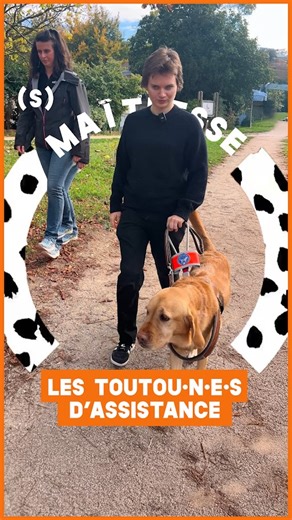 « On dit qu’on est maitre d’un chien, mais c’est vraiment plus que ça. Pour moi c’est de l’égalité entre ma chienne et moi. » Ophélie, non-voyante, vit chaque jour avec sa chienne Taïga, qui l’accompagne partout et lui permet de se déplacer en confiance. Si ce lien est possible, c’est notamment grâce à tout le travail qu’il y a derrière. Aurore Pichon, éducatrice de @chiensguidesparis forme les chiens avec l’aide de 220 bénévoles. On les a rencontrées ! #video | Simone Media