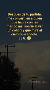 1.2M views · 40K reactions | Después de tu partida, me convertí en alguien que habla con las mariposas, sonríe al ver un colibrí y que mira al cielo buscándote. 曆凉 #duelo #TeRecuerdo #TeAmo #amor #vida | Siempre Te Recordaré | Facebook