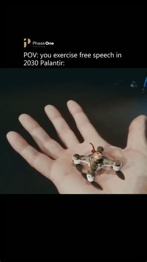 Phase One Ventures on Instagram: "Follow @phaseoneventures for daily business content. Tech firm Palantir, a U.S. data analytics giant co-founded with early CIA backing, sits at the center of this shift. Its software is deeply embedded in government and law enforcement systems, from immigration screening to health records and defense contracts. Critics warn that tools designed to unify massive datasets across agencies could easily feed a pervasive surveillance infrastructure that maps who you me