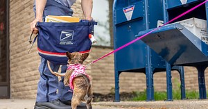 USPS asks dog owners for help protecting letter carriers during Dog Bite Awareness Week
