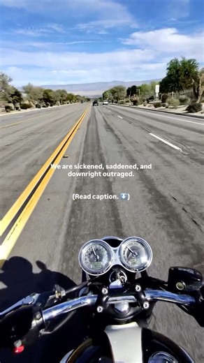 The Litas™ on Instagram: "The Litas believes in freedom as a human right and rejects systems that deny people their dignity, movement, and autonomy. Every person deserves the right to live a life they love and take up space without fear or restriction, borders or barriers."