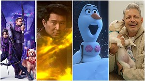 Disney+ Spotlight: November 2021