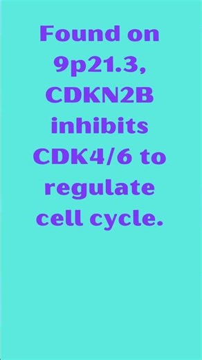 CDKN2B Cyclin Dependent Kinase Inhibitor 2B