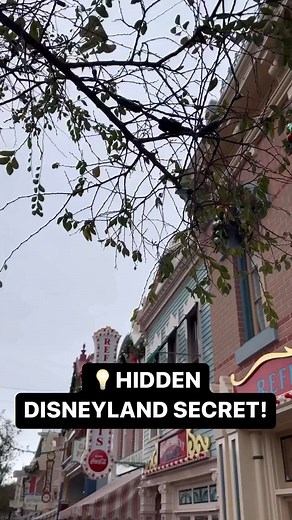 🤫For more secrets of Disneyland, click the link in my bio! | Mickey Visit Secrets